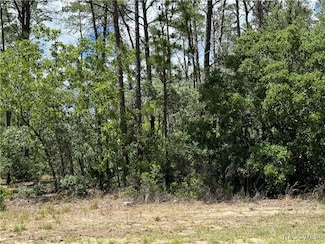 8959 N Farrington Dr, Citrus Springs, FL 34433