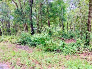 407 Raulerson Rd, Seville, FL 32190