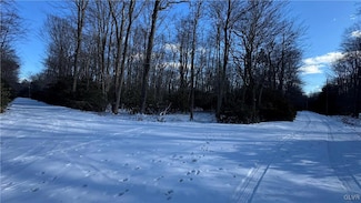0 Oakland Dr, Albrightsvlle, PA 18210