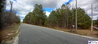 TBD Hannah Pond Rd, McBee, SC 29101