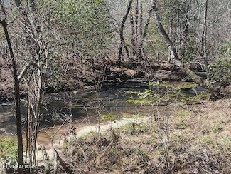 255 & 329 Copperhead Rd, Oakdale, TN 37829