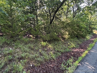 TBD Storm Cove Dr, Linn Creek, MO 65052