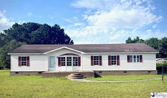 2411 Alligator Rd, Effingham, SC 29541