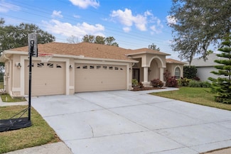 2342 Edelweiss Loop, Trinity, FL 34655