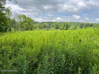 114 Cleveland Rd, Sloansville, NY 12160