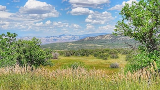 (Parcel 8) TBD Highway 65, Mesa, CO 81643