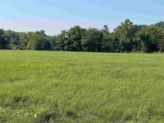 TBD lot 24 E Riverview Rd, Hardy, AR 72542