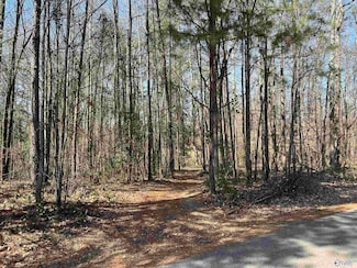 1 Western Hills Dr, Southside, AL 35907