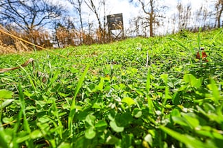 1273 County Rd A-435, Ava, MO 65608