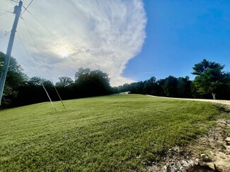 311 Maple Springs Ln, Lawrenceburg, TN 38464