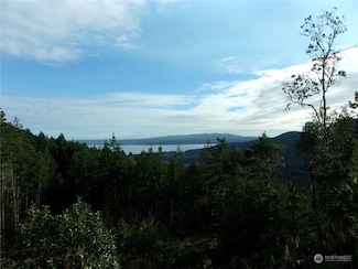 0 Rocky Brook Rd Unit Lot J NWM2304067, Brinnon, WA 98320