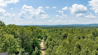 0 Buckhorn Rd Unit 10556339, Clarkesville, GA 30523