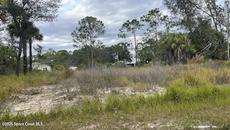 491 La Coco St SW, Palm Bay, FL 32908