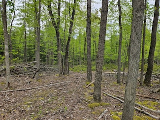0 Harters Mills Trail Unit 11510009, Rebersburg, PA 16872