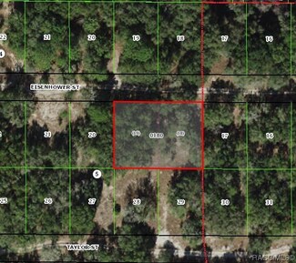 3009 Eisenhower St W, Inverness, FL 34453