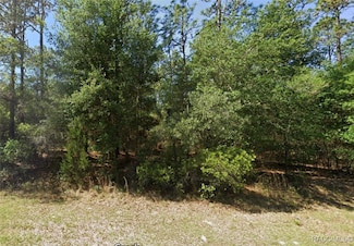 Lot 3 SW 102nd Street Rd, Dunnellon, FL 34431