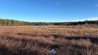 0 Shep Rd, Springfield, ME 04487