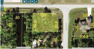 17021 Hillsborough Blvd, Port Charlotte, FL 33954