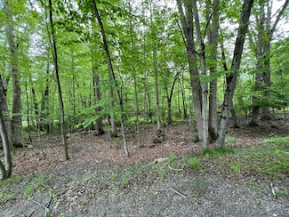 5079 Yukon Dr, Middle Smithfield Township, PA 18302