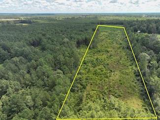 0 County Road 4470, Ivanhoe, TX 77664