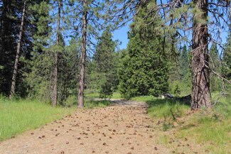 1-N-3 Hotlum Unit 1, McCloud, CA 96057