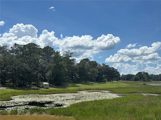 0 SE 180th Ave, Ocklawaha, FL 32179