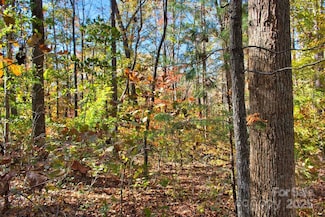 0 Bitteroot Cir Unit 294, Rutherfordton, NC 28139