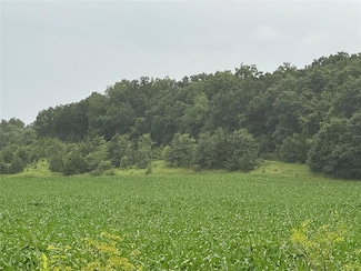 00 205th St and 125th Ave, Grand River, IA 50144