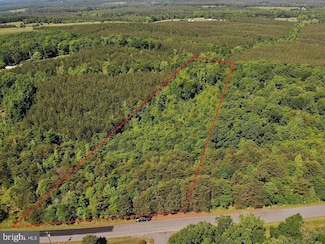 0 White Oak Forks Rd, Virgilina, VA 24598