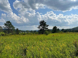 VL White Creek Rd, Friendship, NY