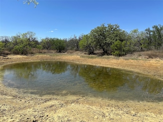 TBD Farm To Market 586, Brownwood, TX 76801