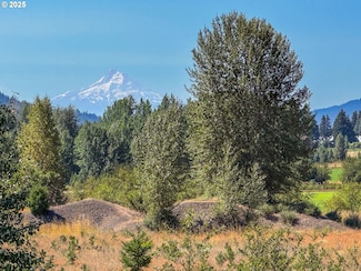0 Trout Lake Hwy Unit 126853870, Troutlake, WA 98650