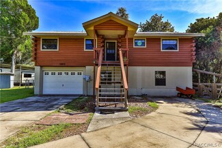 11611 N Caribee Point, Inglis, FL 34449
