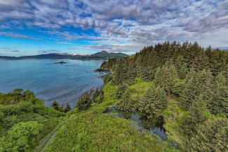 0 Cliffs 6 Cliff Point Rd Unit Lot 11175675, Kodiak, AK 99615