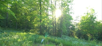 83xxx - Lot 7 Ashwabay Heights Rd, Bayfield, WI 54814