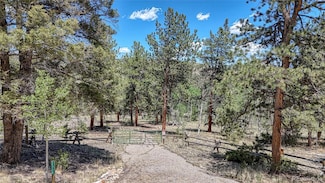 2338 Fitzsimmons Dr, Hartsel, CO 80449