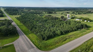 TBD Co Hwy 39, Toad Lake Township, MN 56544