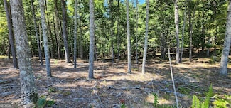 51 Ridge Dr, Morganton, GA 30560