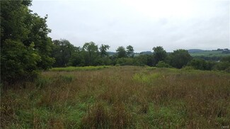 0 River Rd Unit S1141224, Smyrna, NY 13464