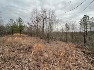00 Cr 8, Waterloo, AL 35677
