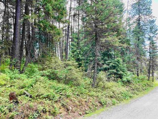 TBD Eastshore Rd, Newport, WA 99156