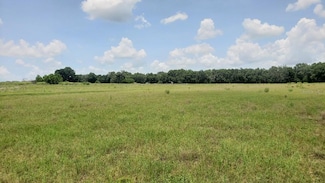 TBD - LOT 76 Taylor Road Heritage Estates Phase 2, Thonotosassa, FL 33592