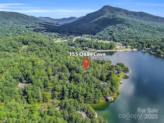 155 Quail Cove Blvd Unit 1602, Lake Lure, NC 28746