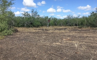 0 Texas 359, Orange Grove, TX 78372