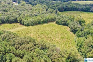 378 Old Mill Rd, Blountsville, AL 35031