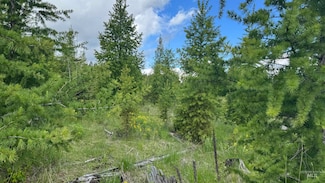 TBD Upper Fords Creek, Orofino, ID 83544