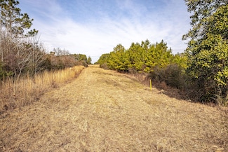 0 Ethel Rd Unit 22819780, Collins, MS 39428