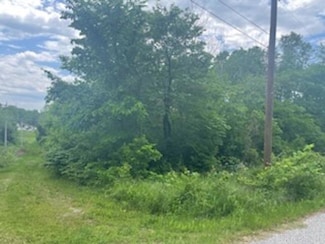 Lot 58 Town Park Way, Mountain Home, AR 72653