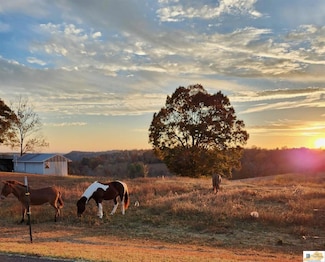 00 Casey Creek Rd, Columbia, KY 42728