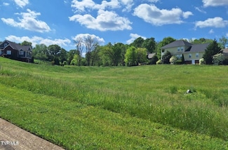 101 Forest Ln N, Blountville, TN 37617